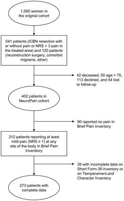 Pain-related and psychological factors mediate the effect of personality on health-related quality of life. A study in breast cancer survivors with persistent pain